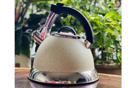 Ấm đun nước tráng men kết hợp inox Faster 3L